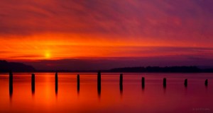 Tranquil #1