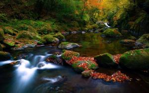 nature-landscapes_hdwallpaper_scenic-river-colors_15102 rivers