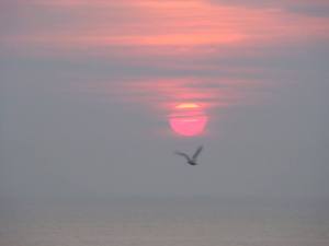 pink sky