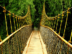 rope_bridge3in
