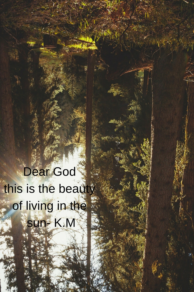 Dear God this is the beauty of living in the sun