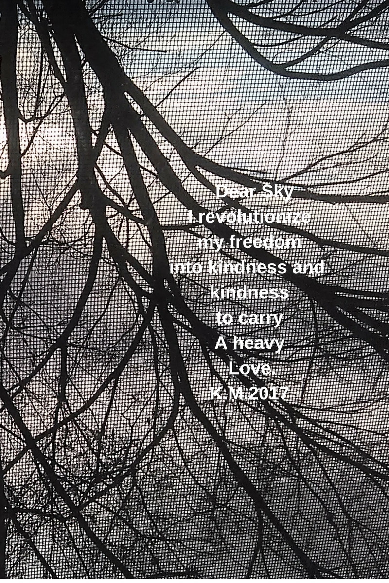 Dear Sky I revolutionize kindness into freedom 1 (2)