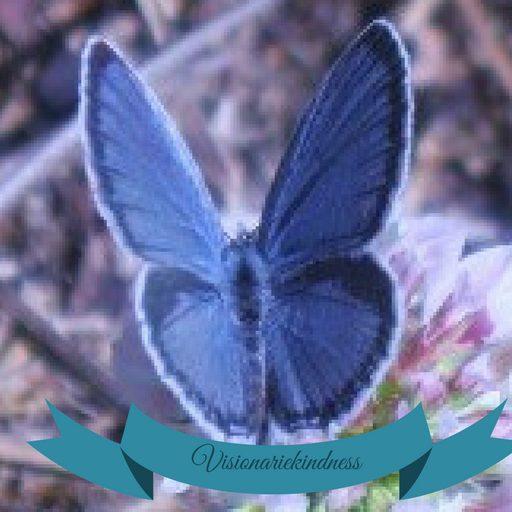 cropped-visionariekindness1.jpg