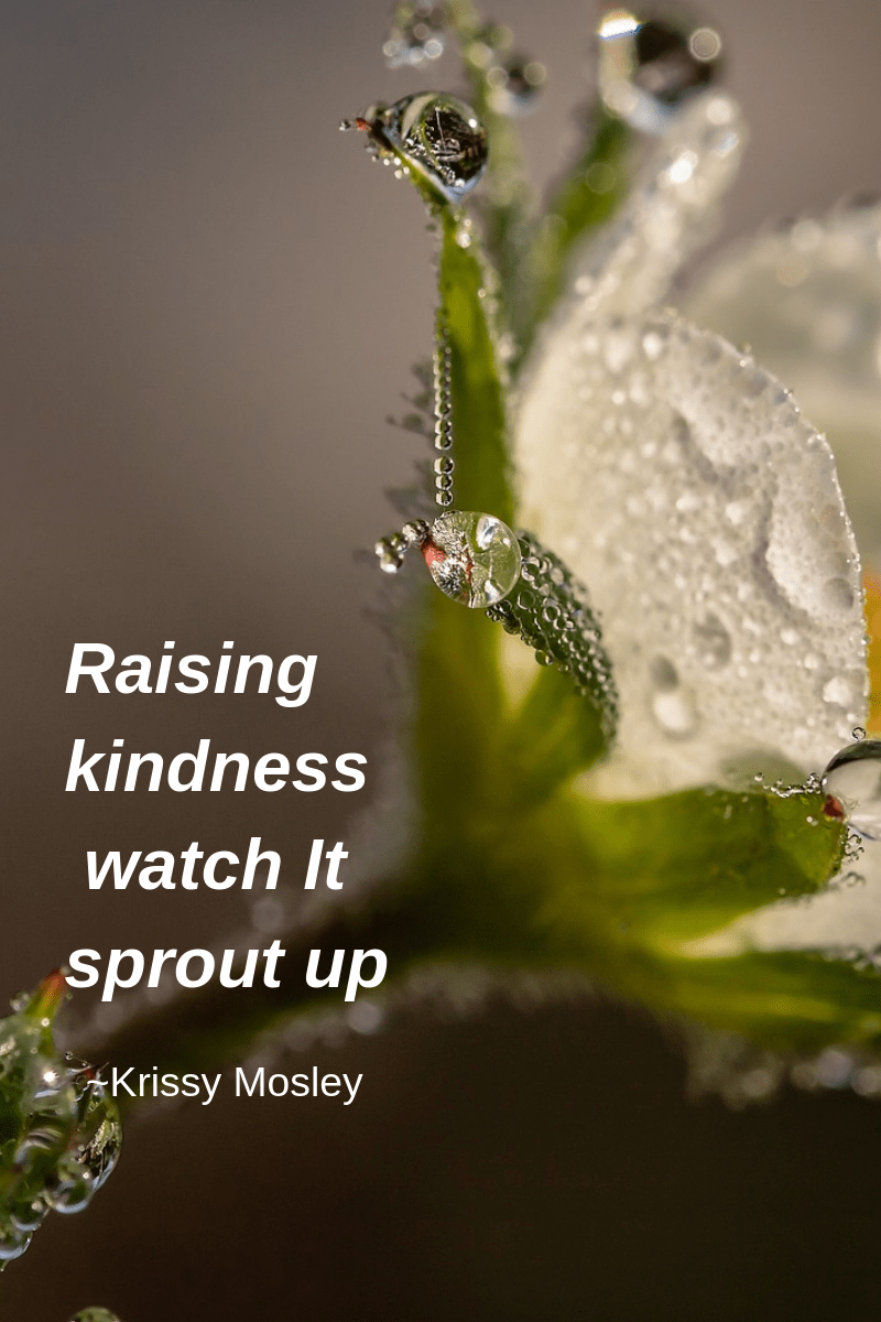 Text placeholder (5).png