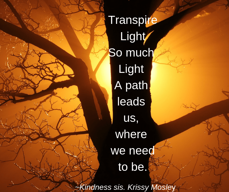 transpire the light r