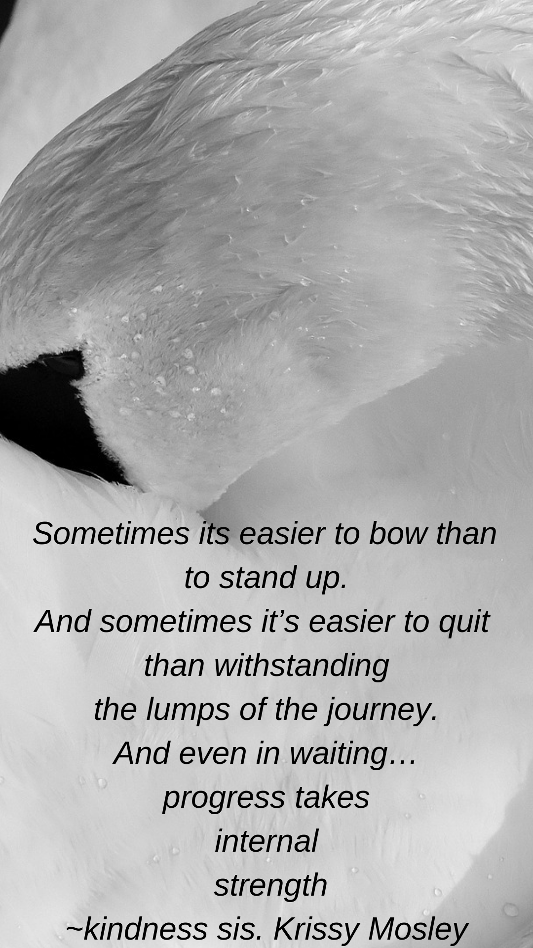 Sometimes its easier to bow than to stand up. And sometimes it’s easier to quit than withstanding the lumps of the journey. And even in waiting… progress takes internal strength_Krissy Mosley.png